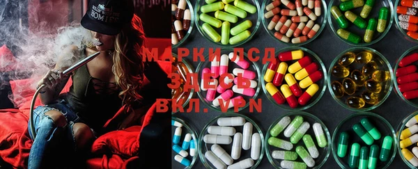 spice Строитель