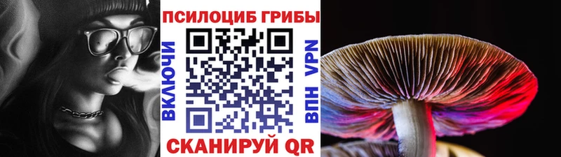 Купить закладки  Сокол  Галлюциногенные грибы ЛСД 